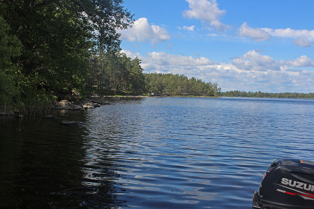Foto C-J Natur. Bilden visar en av de undersökta platserna i sjön. 